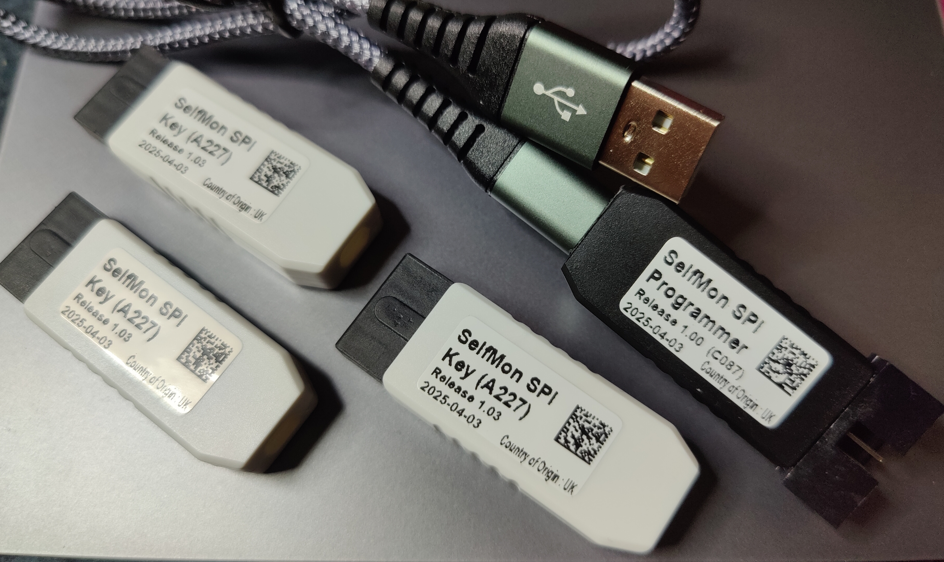 SelfMon SPI Keys and Prog